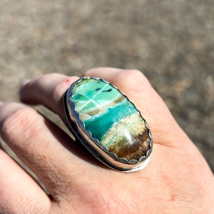 Echo of the Earth Opalized Petrified Wood Ring size 7.25