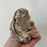 Life is a Song Jewelry Shell Dish