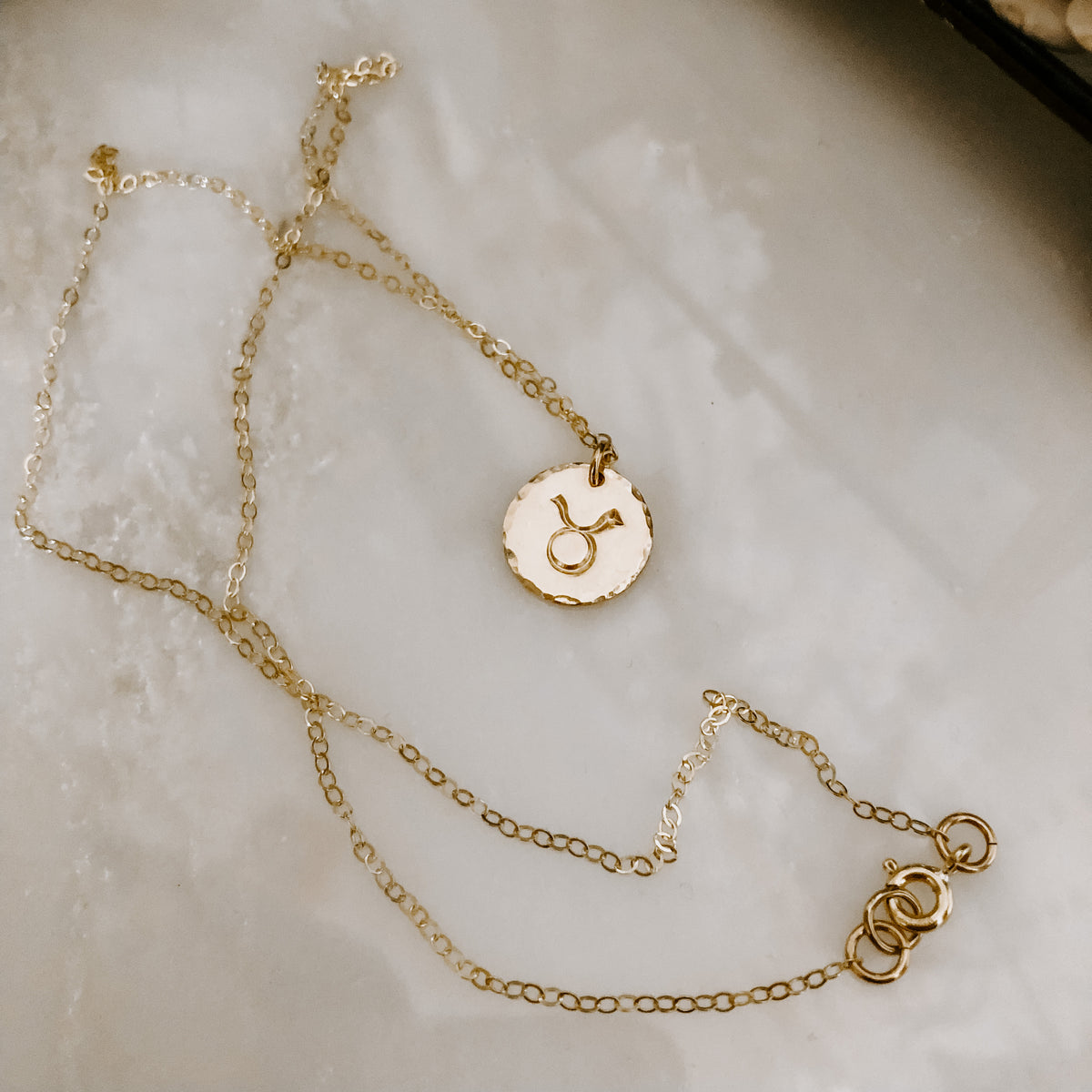 Astrology Hand Stamped Coin Necklace