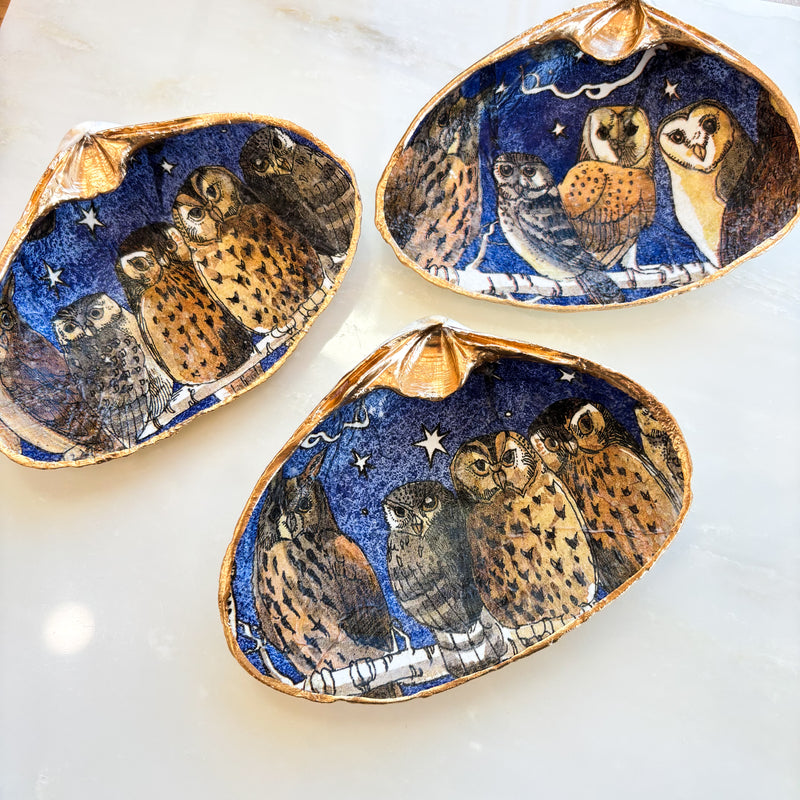 Owl Eyes Shell Jewelry Dish