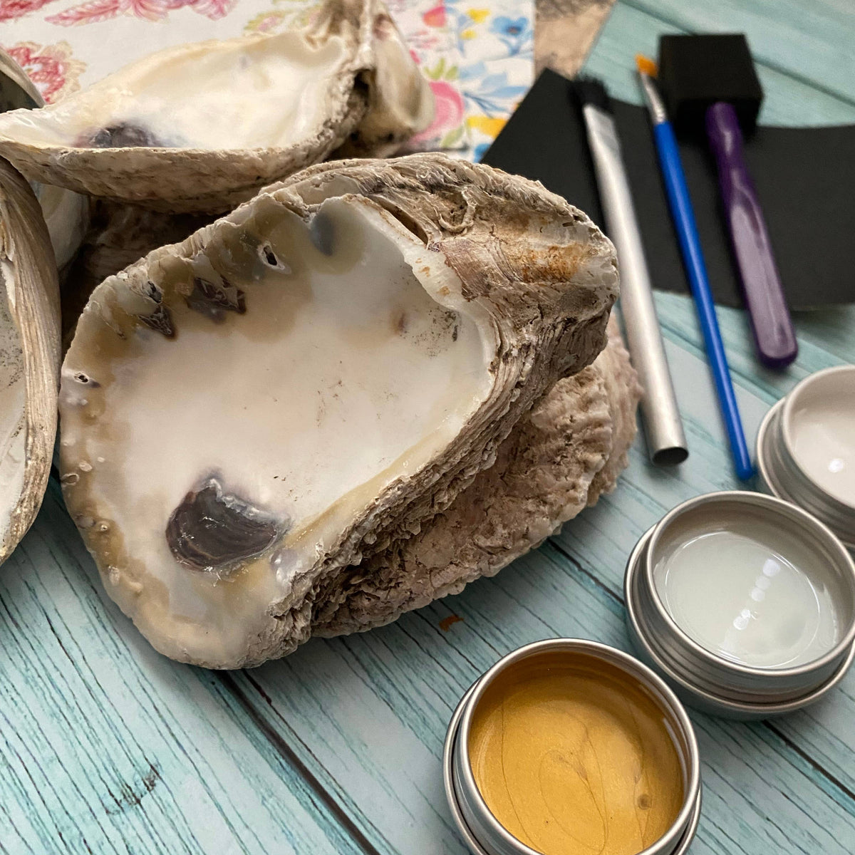 DIY Decoupage Shell Jewelry Dish Kit