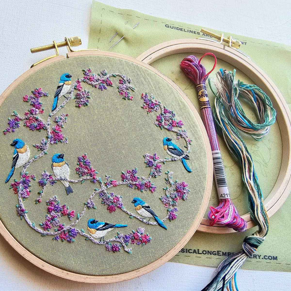 Birds & Blooms DIY Embroidery Kit