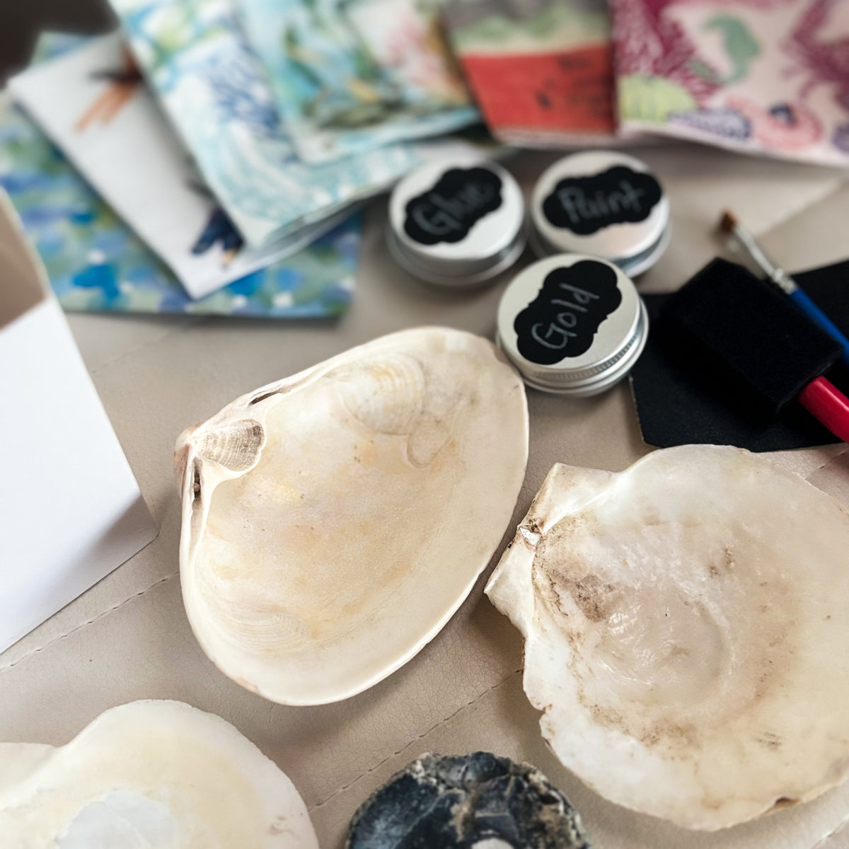 DIY Decoupage Shell Jewelry Dish Kit