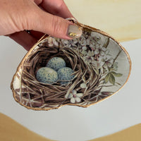 Birds Nest Shell Jewelry Dish