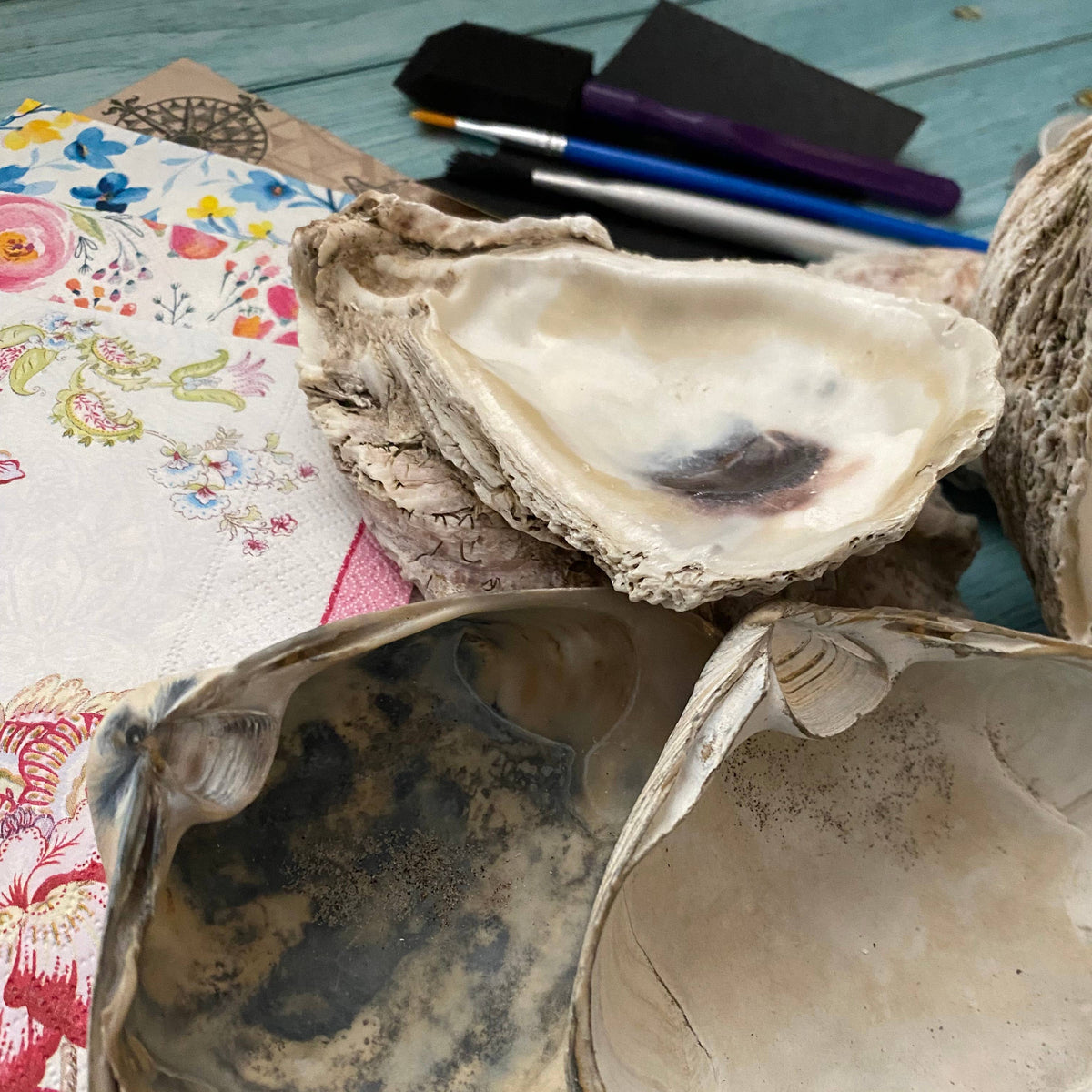 DIY Decoupage Shell Jewelry Dish Kit
