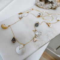 Shoreline Shells Necklace
