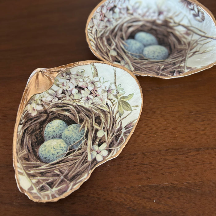 Birds Nest Shell Jewelry Dish