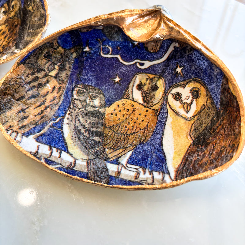 Owl Eyes Shell Jewelry Dish