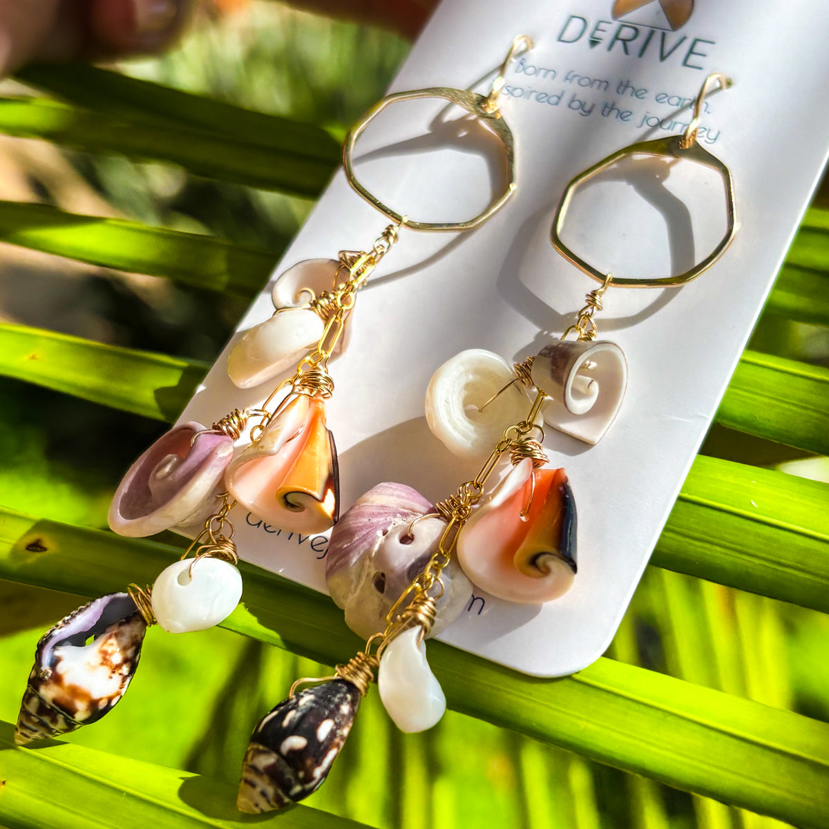 Shoreline Shells Earrings
