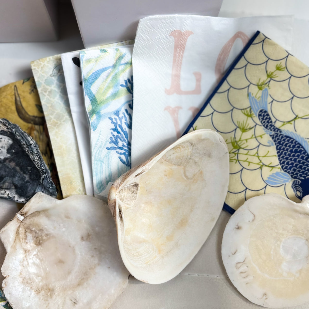 DIY Decoupage Shell Jewelry Dish Kit
