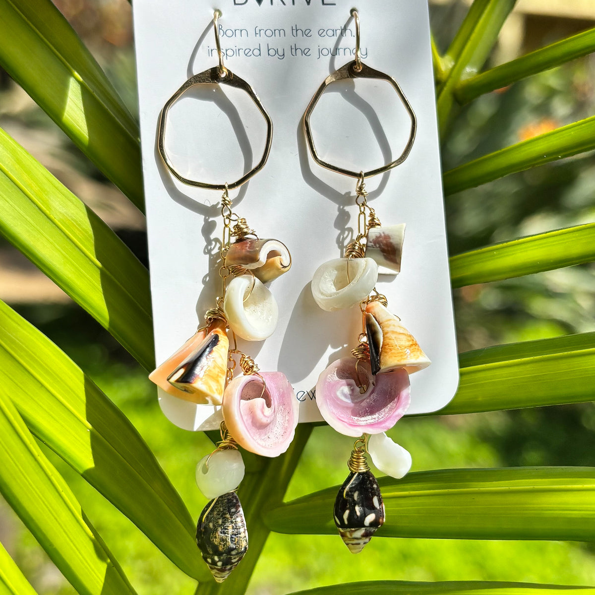 Shoreline Shells Earrings