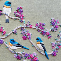 Birds & Blooms DIY Embroidery Kit