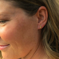 Butterfly Solid 14k Gold Stud Earrings