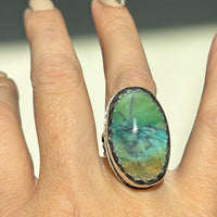 Echo of the Earth Opalized Petrified Wood Ring size 7- custom