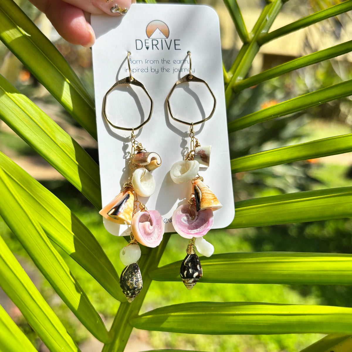 Shoreline Shells Earrings