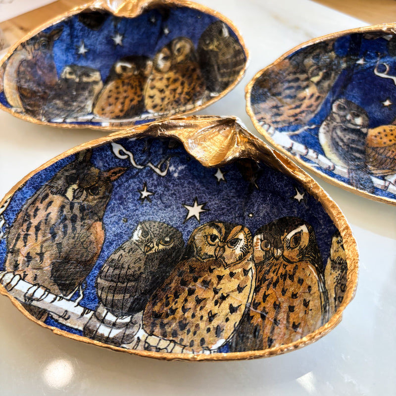 Owl Eyes Shell Jewelry Dish