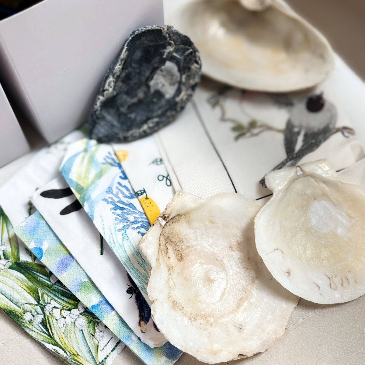 DIY Decoupage Shell Jewelry Dish Kit