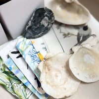 DIY Decoupage Shell Jewelry Dish Kit