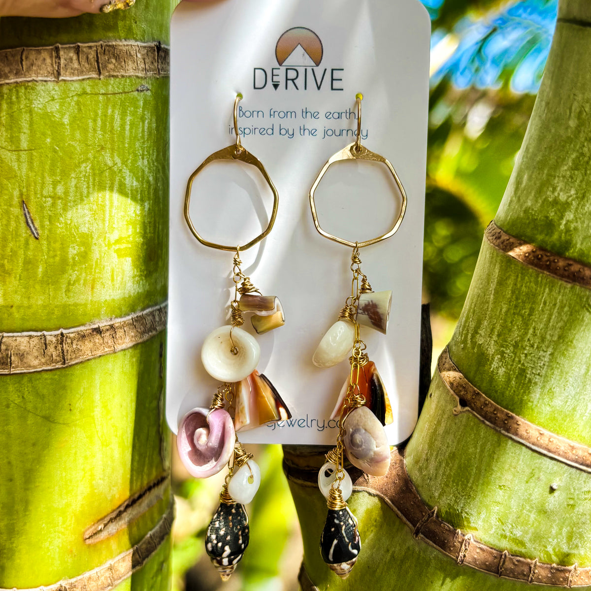 Shoreline Shells Earrings