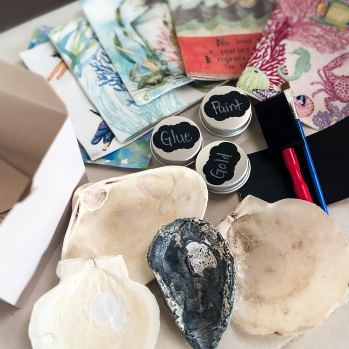 DIY Decoupage Shell Jewelry Dish Kit