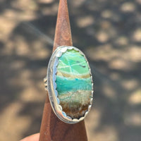 Echo of the Earth Opalized Petrified Wood Ring size 7.25
