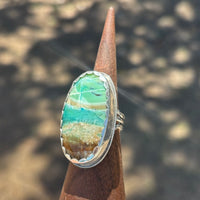 Echo of the Earth Opalized Petrified Wood Ring size 7.25