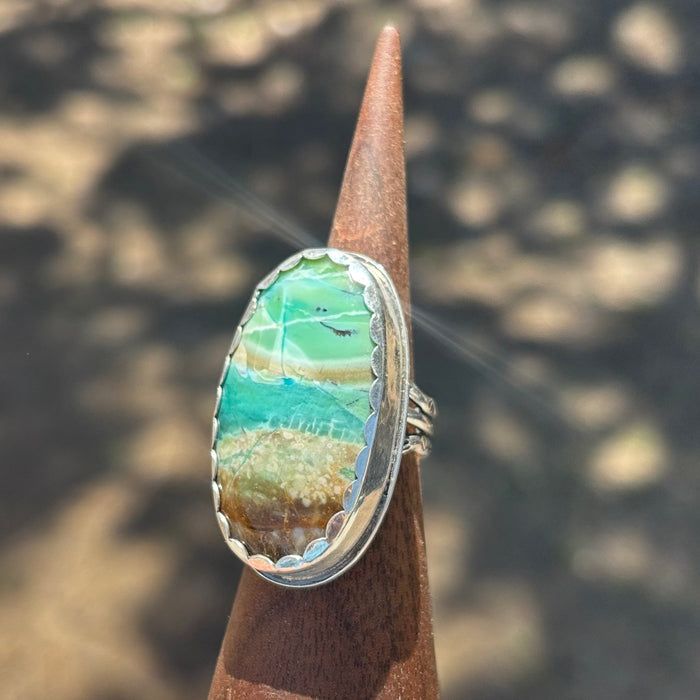 Echo of the Earth Opalized Petrified Wood Ring size 7.25