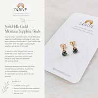 Montana Sapphire Solid 14k Gold Stud Earrings
