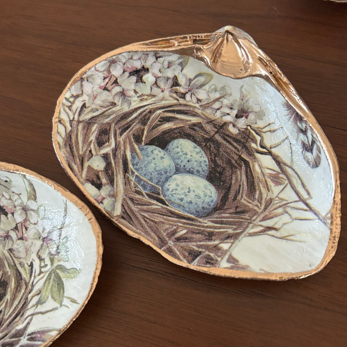 Birds Nest Shell Jewelry Dish