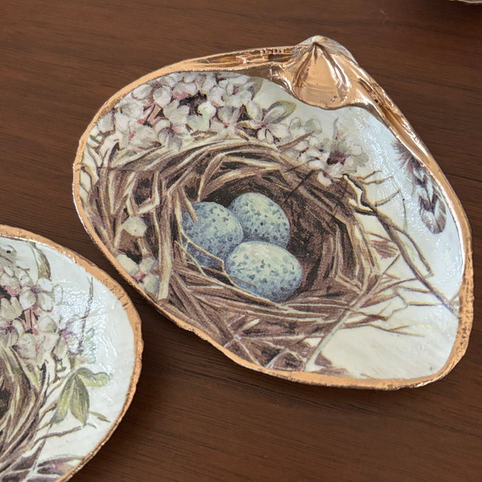 Birds Nest Shell Jewelry Dish