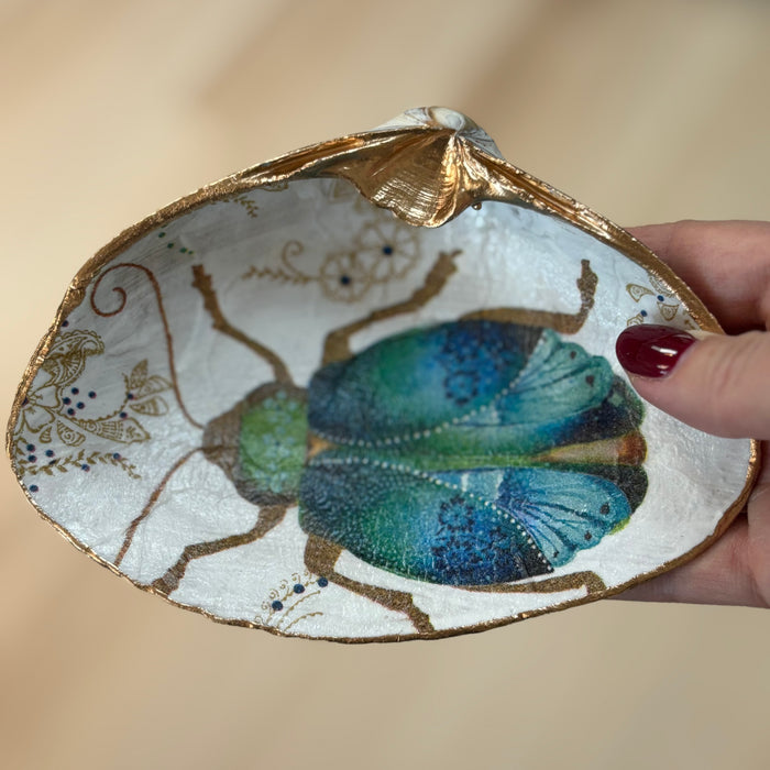 Beetle Shell Jewelry Dish