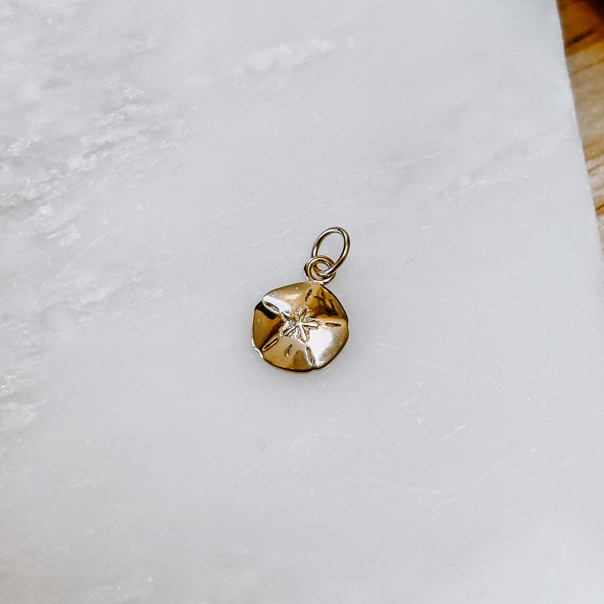 Sand Dollar 14k Gold Charm (Charm only)