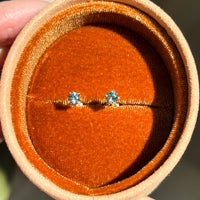 Montana Sapphire Solid 14k Gold Stud Earrings