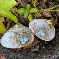 Birds Nest Shell Jewelry Dish