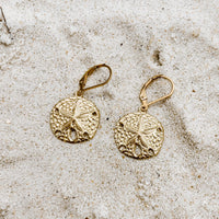 Beachcombers Sand Dollar Earrings in 14k gold fill, styled on pale sand at the beach