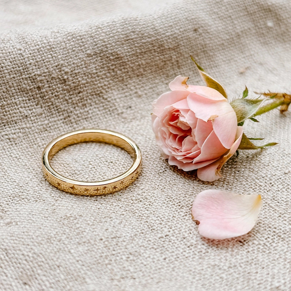 Dainty Celestial Ring in solid 14k gold with star engravings, beside a blush garden rose