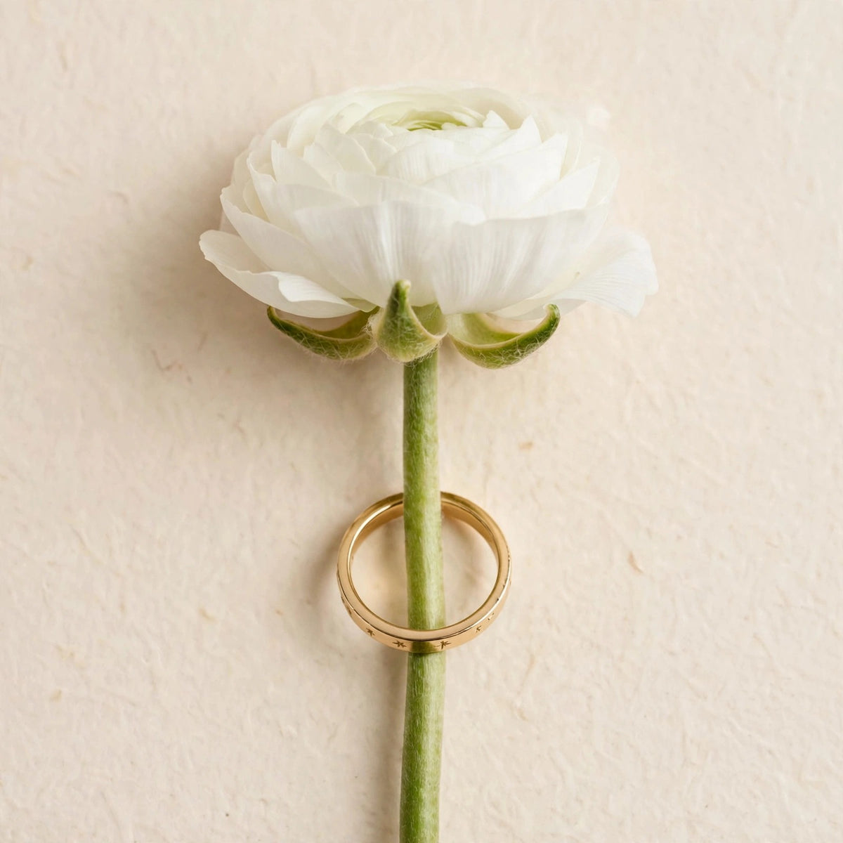 Dainty Celestial Ring in solid 14k gold with star engravings, resting on a white ranunculus flower