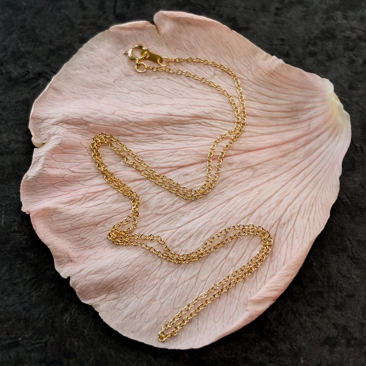 Dainty chain necklace in solid 14k gold looped on a single blush petal