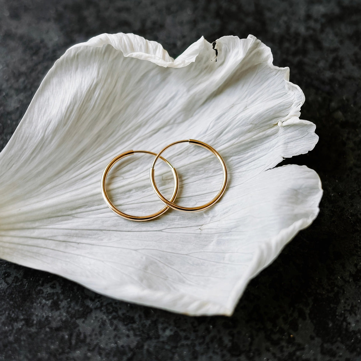 Endless hoop earrings in solid 14k gold, 15mm, resting on a single white petal