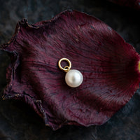 Freshwater pearl charm in solid 14k gold resting on a deep wine petal