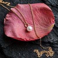 Freshwater pearl charm necklace in solid 14k gold, pearl resting on a deep rose petal