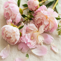 Gold nugget charm necklace in solid 14k gold nestled among blush peonies