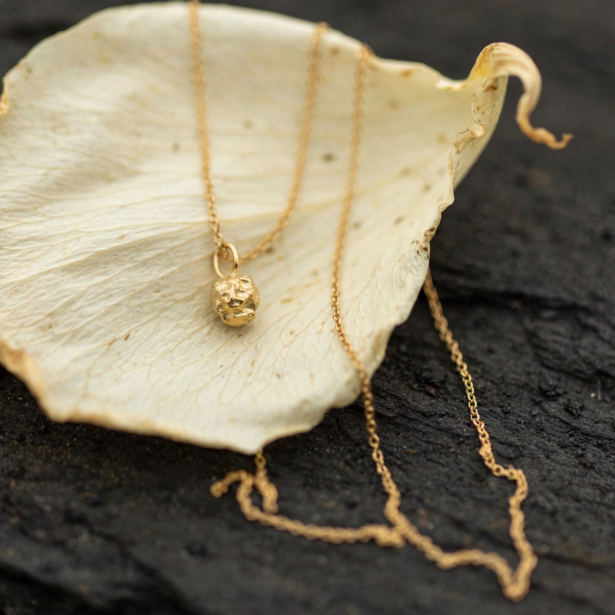 Gold nugget charm necklace in solid 14k gold resting on a single cream flower petal