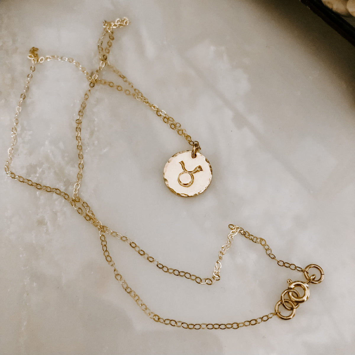 Astrology Hand Stamped Coin Necklace (WS)