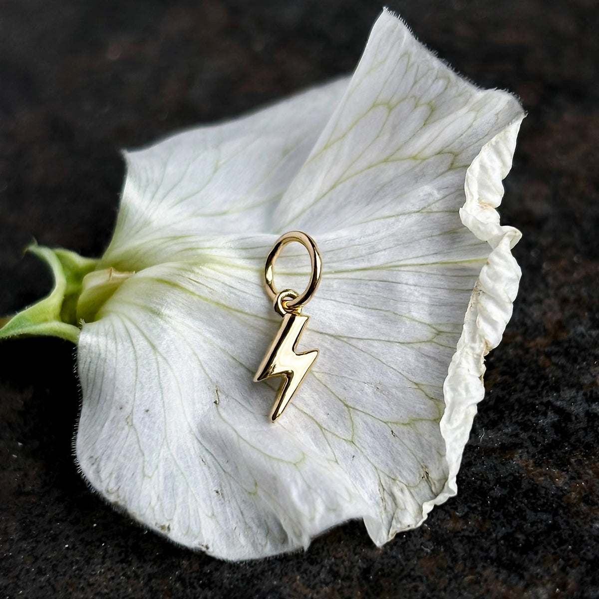 Lightning bolt charm in solid 14k gold resting on a white sweet pea petal