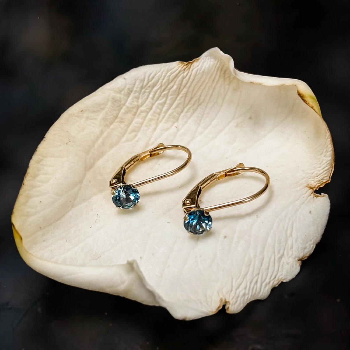 Montana sapphire leverback earrings in solid 14k gold on a cream gardenia petal