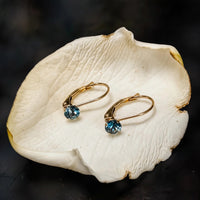 Montana sapphire leverback earrings in solid 14k gold on a cream gardenia petal