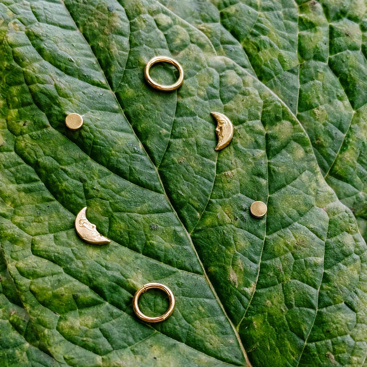 Moon Phase Stud Pack in 14k gold fill with dot, hoop and moon face studs, styled on a mossy rock