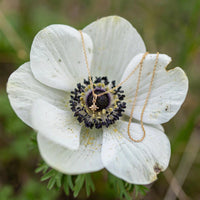North Star charm necklace in solid 14k gold, pendant resting in a white anemone flower