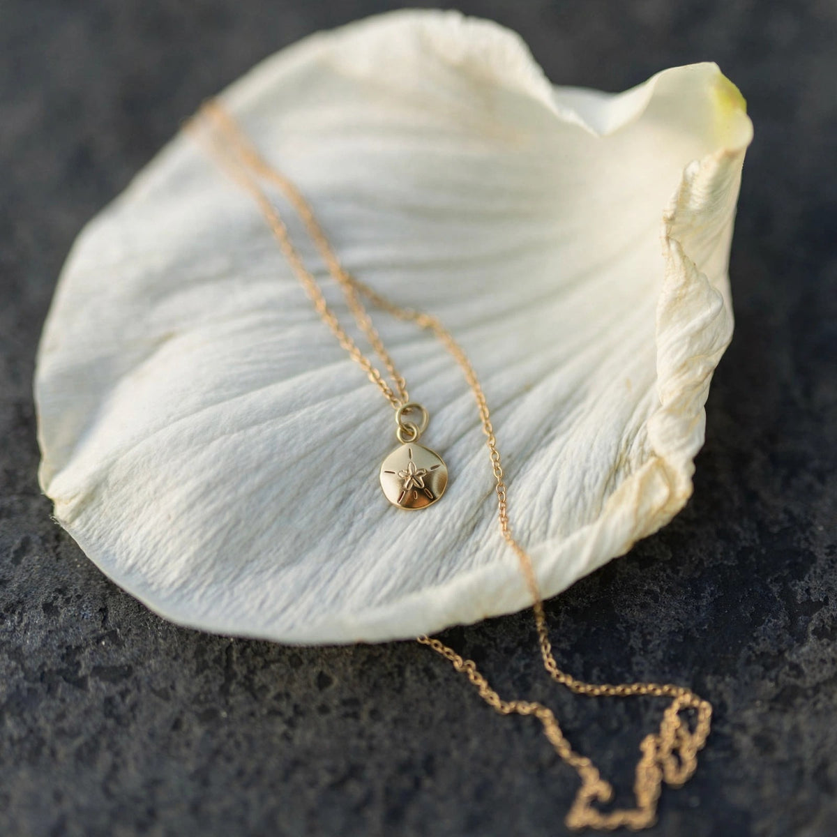 Sand dollar charm necklace in solid 14k gold on a single white flower petal